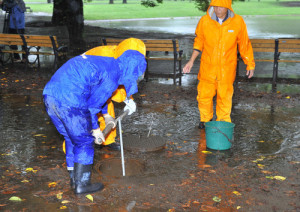 Funcionários esvaziam açudes no Parque Yoyogi. Foto: Mainichi